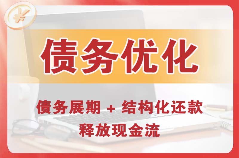 临洮债务优化
